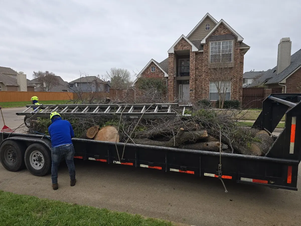Expert Tree Removal with proper safety equipment in Fayetteville